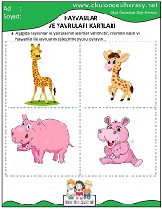 Hayvanlar ve Yavruları Eğitici Kartları